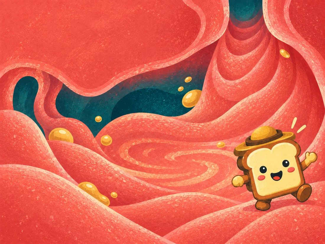 Illustrated toast explorer in the stomach